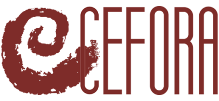 Plataforma de Teleformación Plataforma de Teleformación